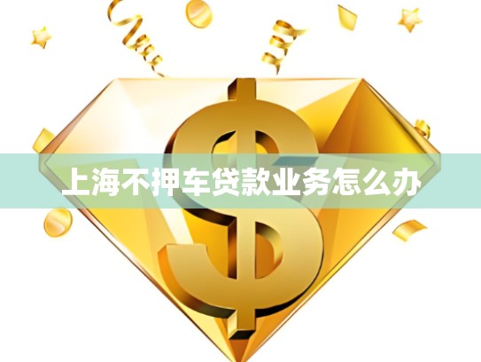 上海不押车贷款业务怎么办