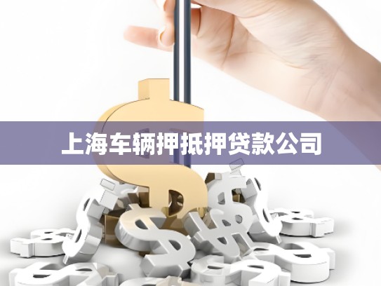 上海车辆押抵押贷款公司