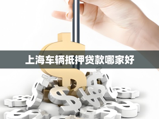 上海车辆抵押贷款哪家好