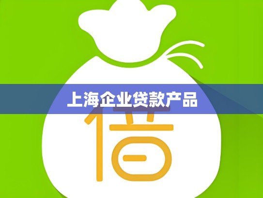 上海企业贷款产品
