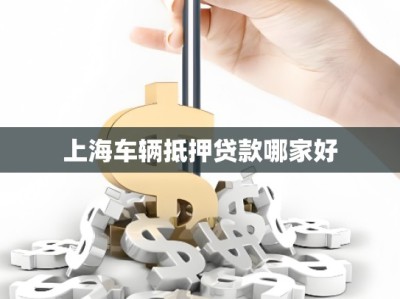 上海车辆抵押贷款哪家好
