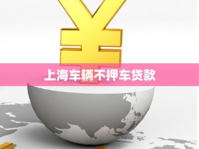 上海车辆不押车贷款