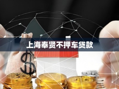 上海奉贤不押车贷款