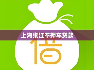 上海张江不押车贷款