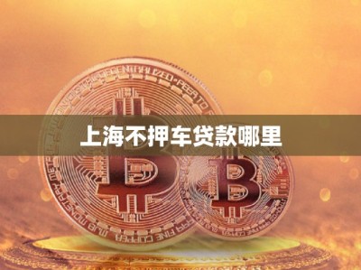 上海不押车贷款哪里