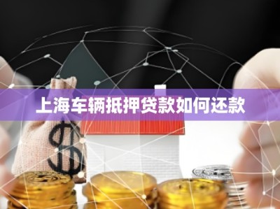 上海车辆抵押贷款如何还款