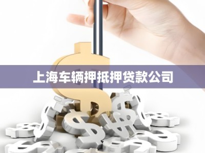 上海车辆押抵押贷款公司